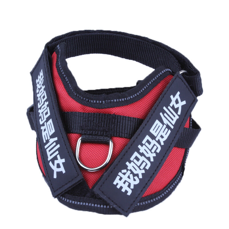 Personalize Dog Harness Name