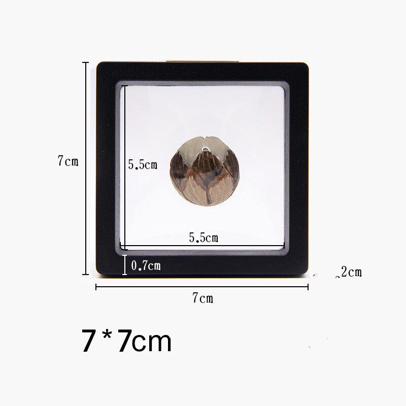 Suspended Case 3D Floating Display Frame Holder Box