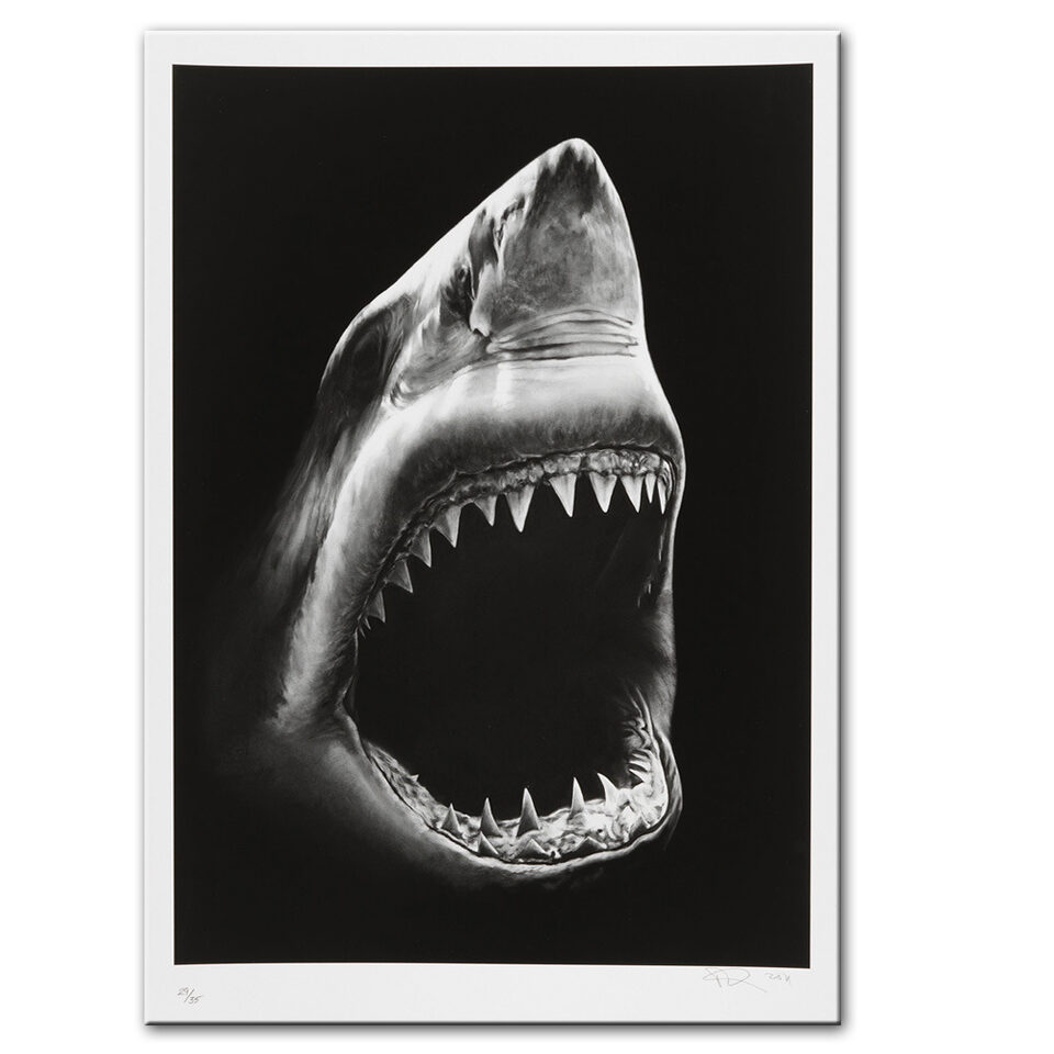 Modern Canvas Painting Shark