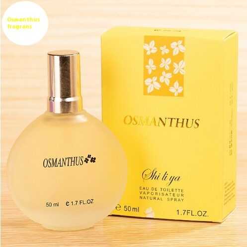 Women's Perfume Floral Light Fragrance Student Jasmine Rose