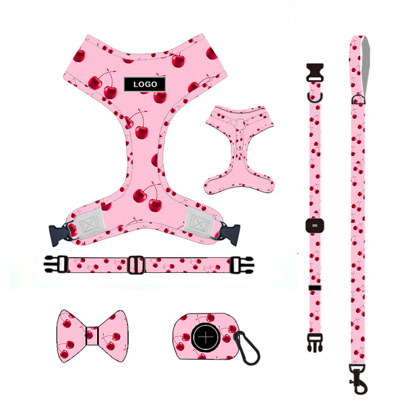 Pet Supplies Dog Leash Set