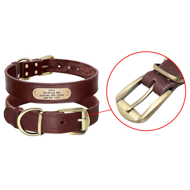 Personalized Dog Collars with Nameplate ID Tags