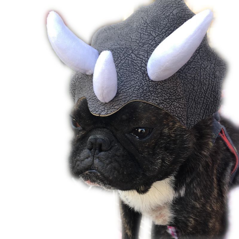 Pet Triceratops Dog Dinosaur Hat Cat Transformation Cap