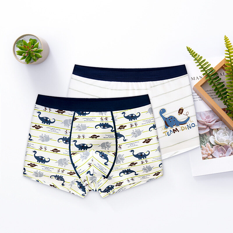 Boy's Underwear Boxer Cotton Children's