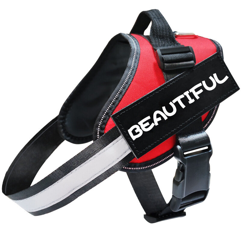 Reflective Dog Leash