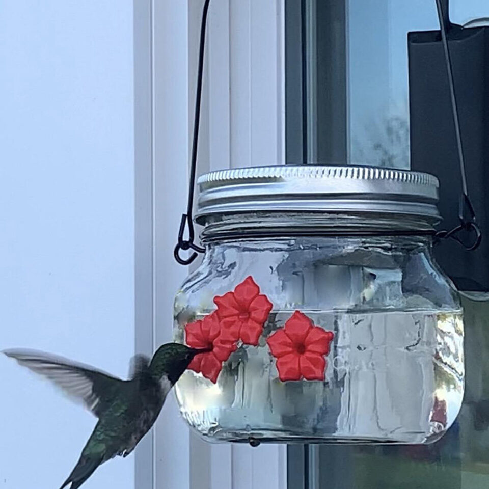 Hummingbird Feeder Plastic Flower Bird Water Bottle Hanging