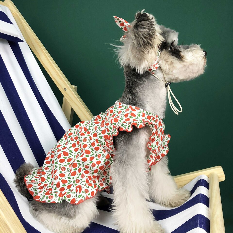 Dog Clothes Summer Thin Small Dress Pet