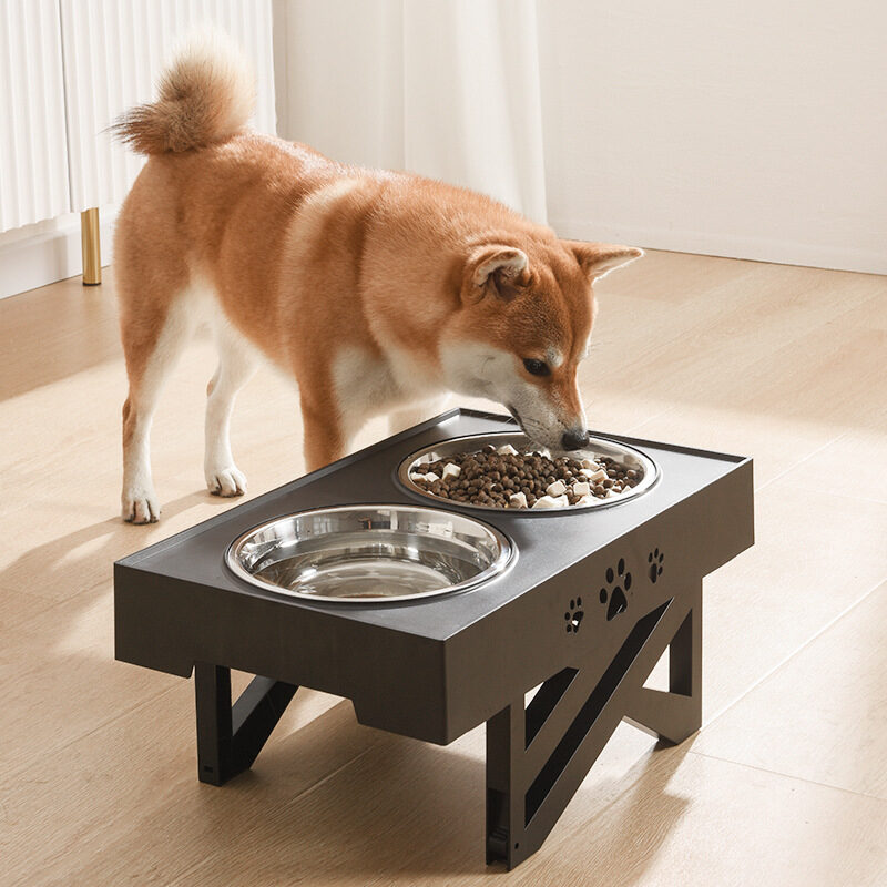 Adjustable Height And Large Capacity Stainless Steel Dog