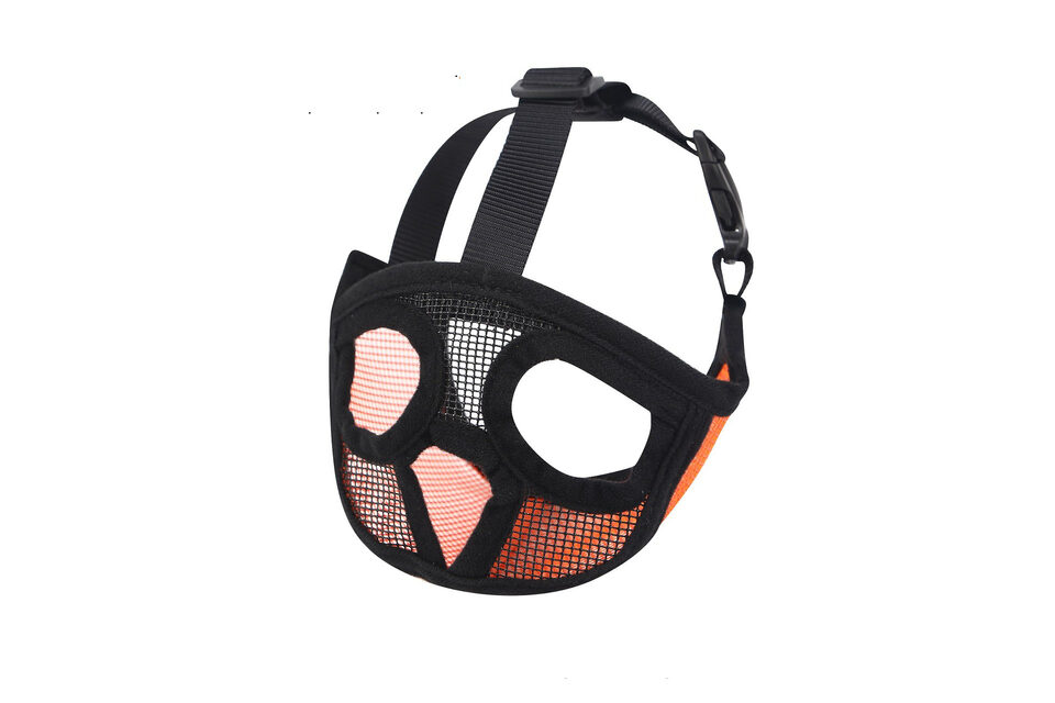 Hoopet Pet Small Dog French Bulldog Muzzle Mouse