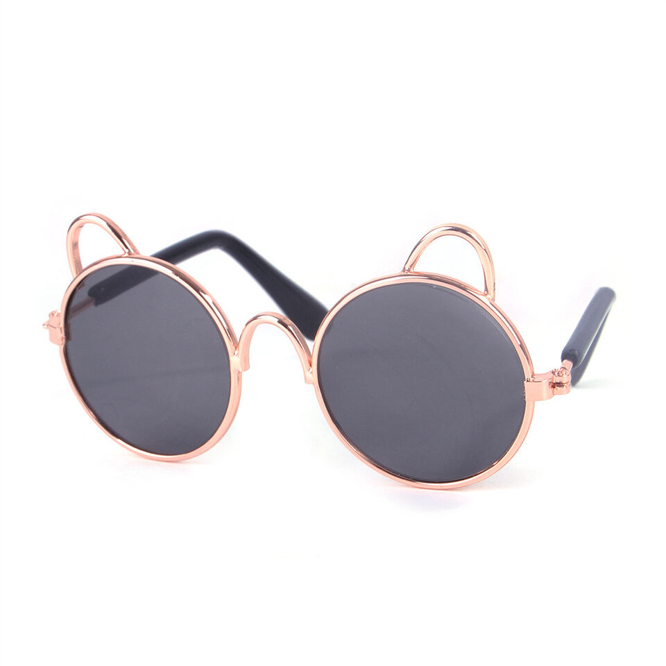 Cat Cute Sunglasses Dog Teddy