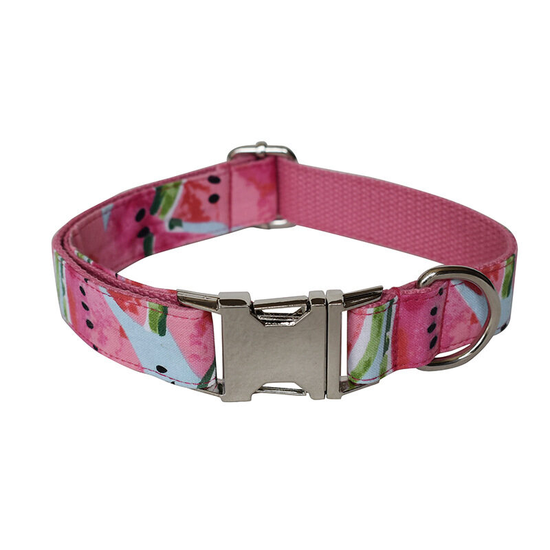 Watermelon Pet Supplies Dog Collar Leash