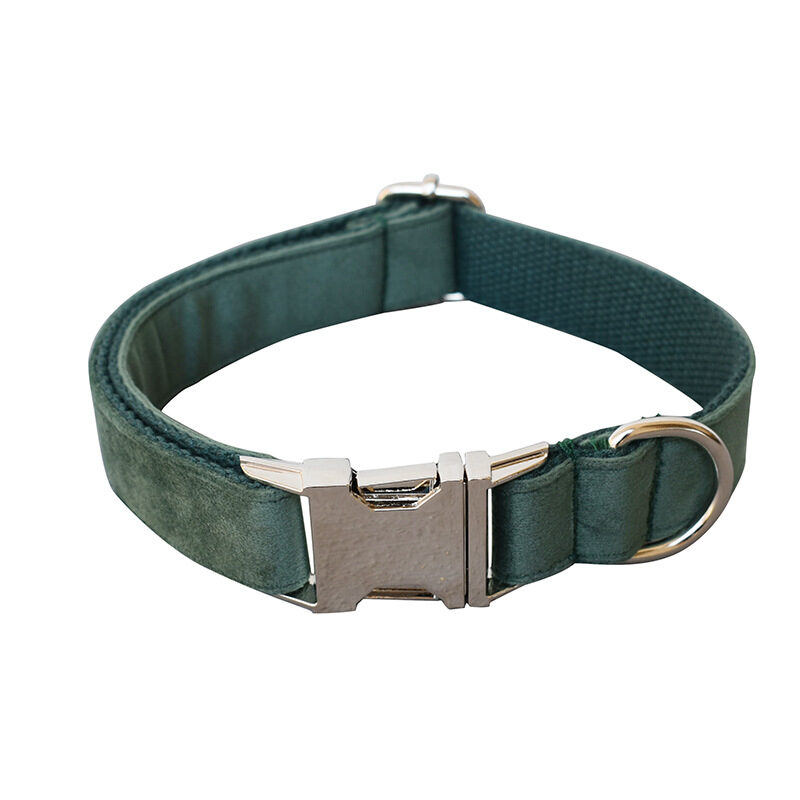 Green Velvet Dog Collar Leash Pet