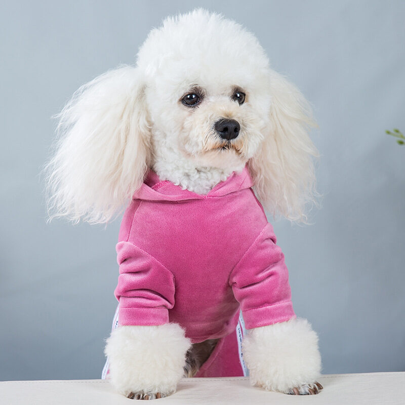 Casual Clothes Teddy One-piece Pet Four-legged