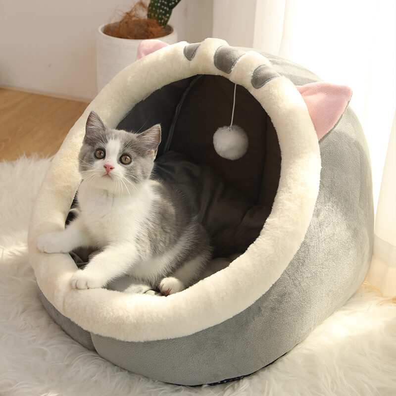 Four Seasons Universal Cat House Villa Home