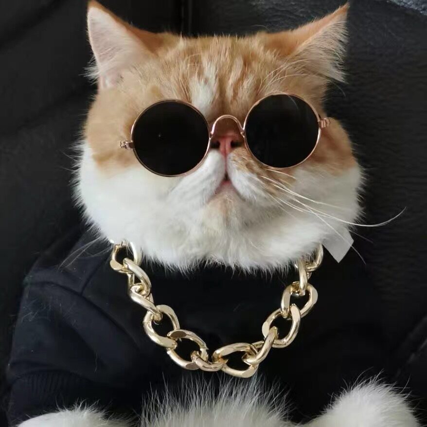 Cat Lion Headgear Hat Cute Funny Pet Photo