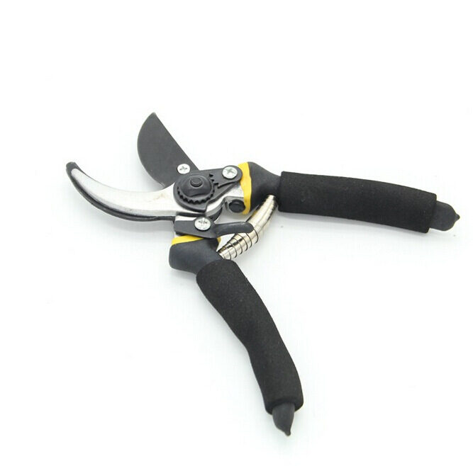 Garden Shears Fruit Tree Pruning