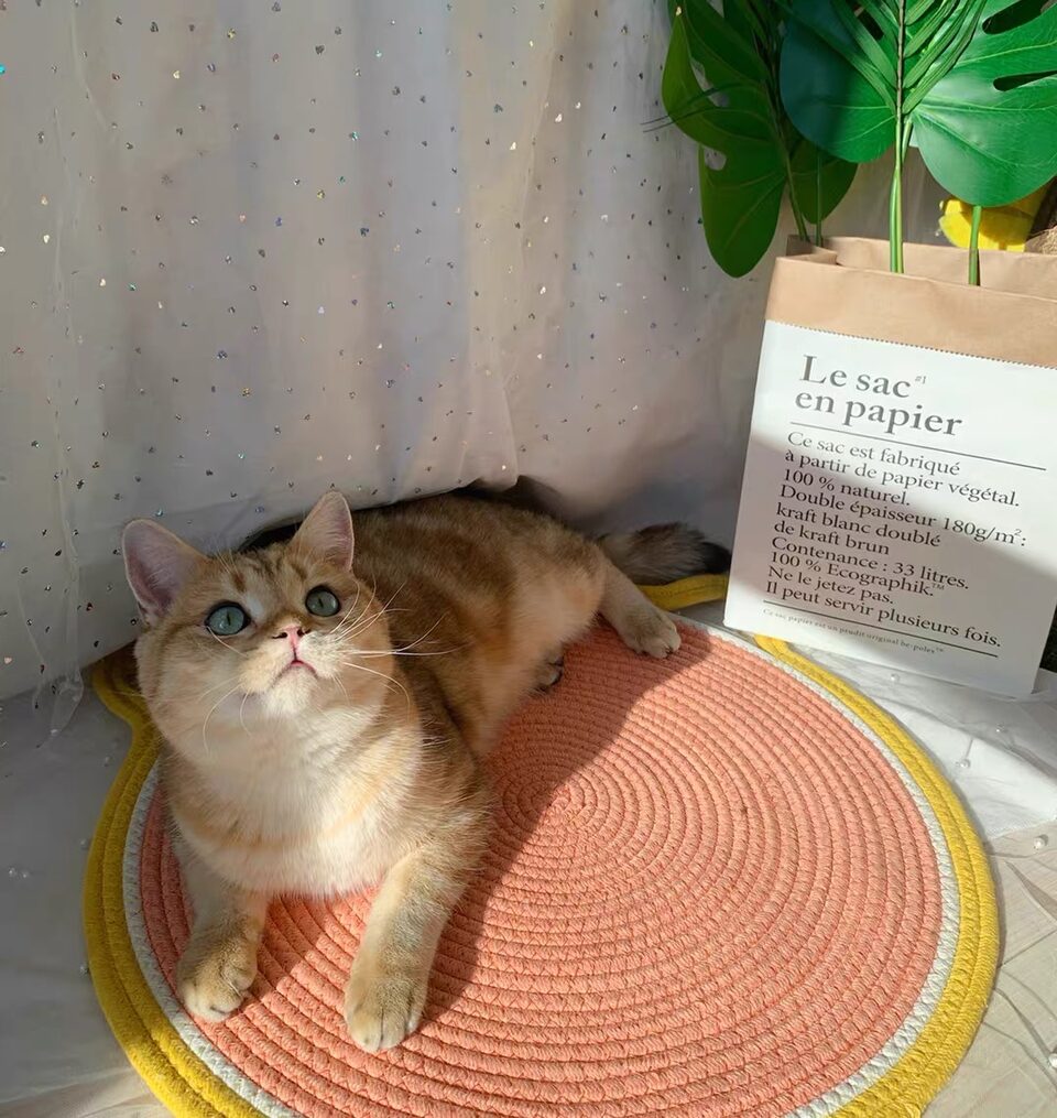 Cat Climbing Frame Sisal Scratching Board Cattery Decoration