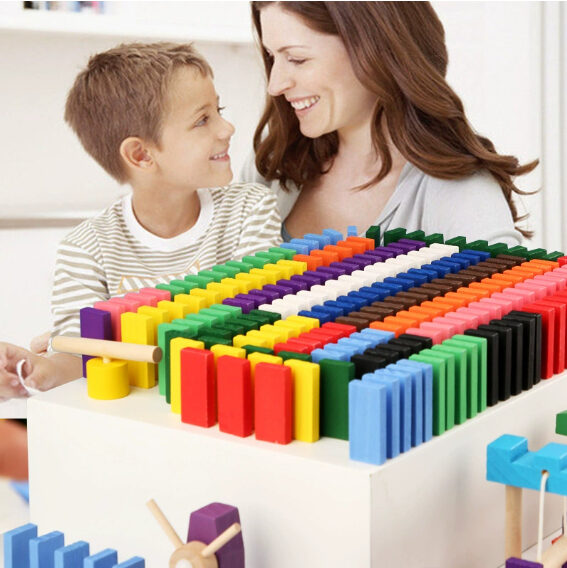 Wooden Domino Blocks Building Toy Kits Color Sort