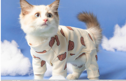 Clothes Ins Puppet Cat British Short Anti-hair Shed