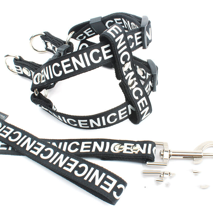 Pet Leash Dog Collar