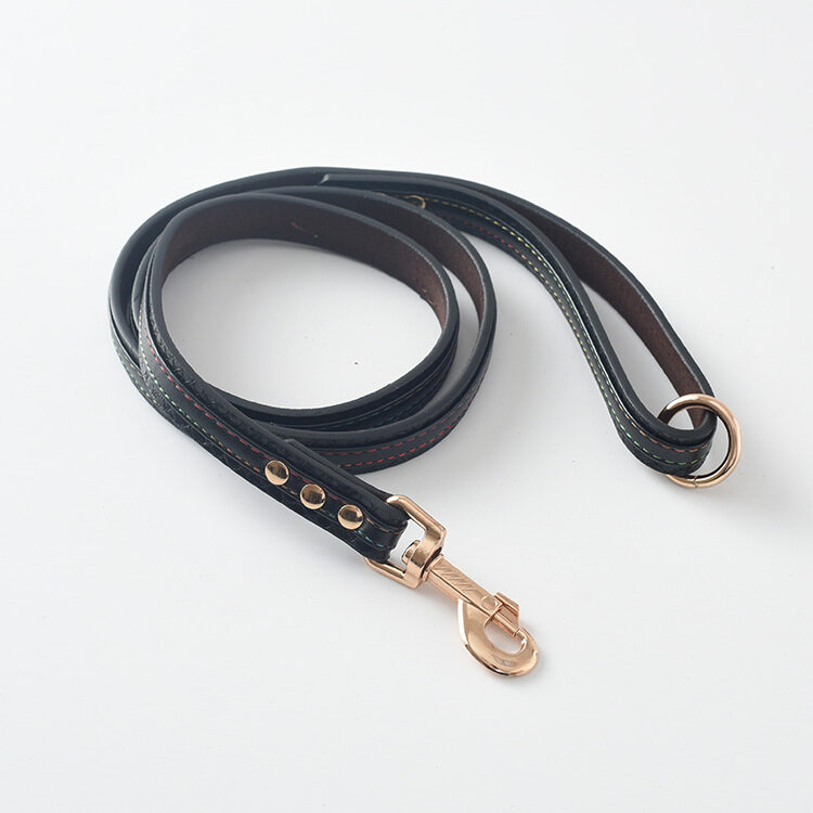 Pet Leash