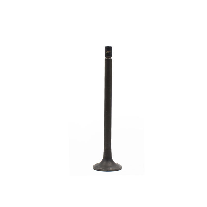 Exhaust Valve Natural Gas Engine Parts Heavy Truck