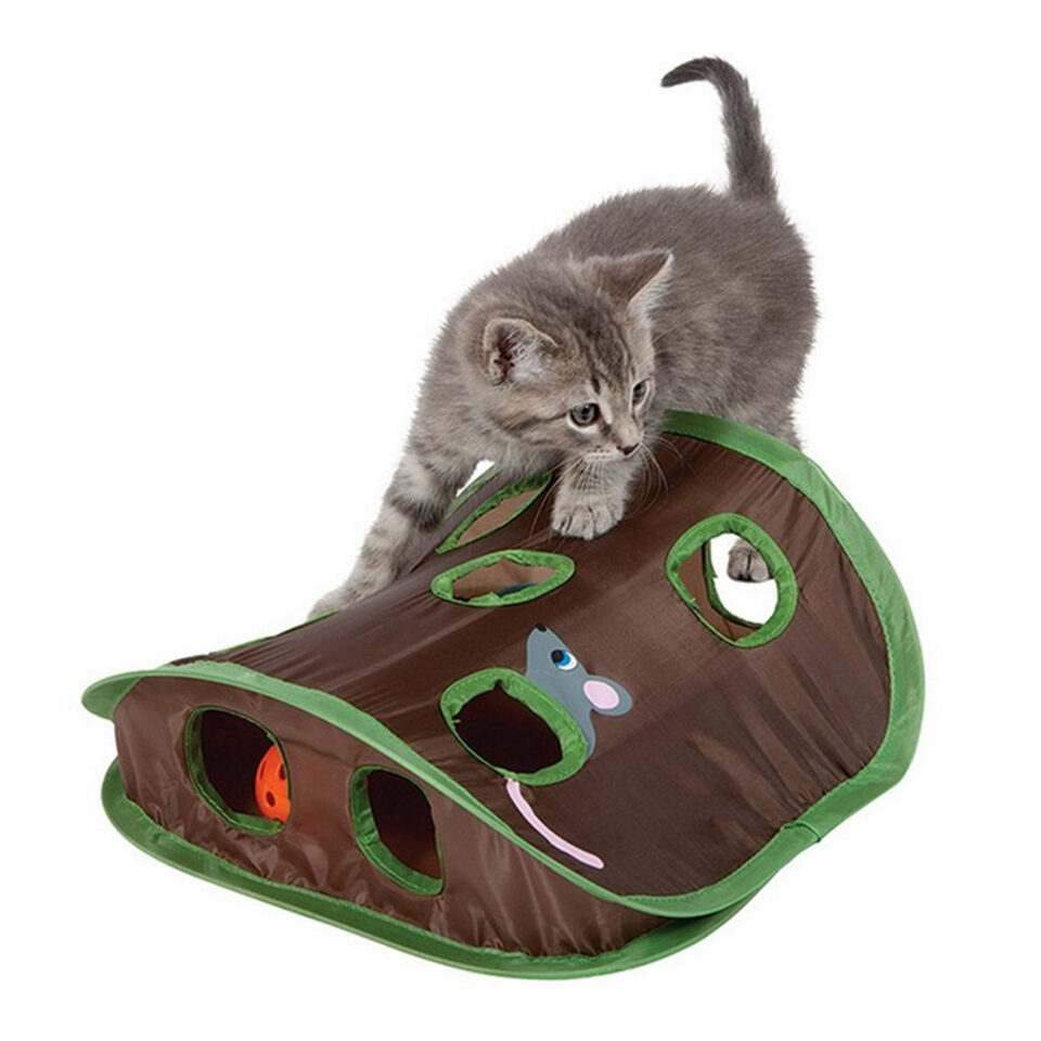 Cute Pet Cat Interactive Hide Seek Game 9