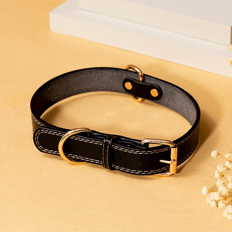 PU Leather Collar Dog