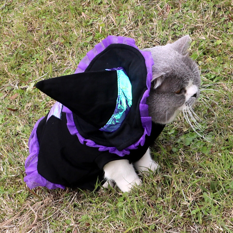Christmas Wizard Pet Halloween Dog Clothes