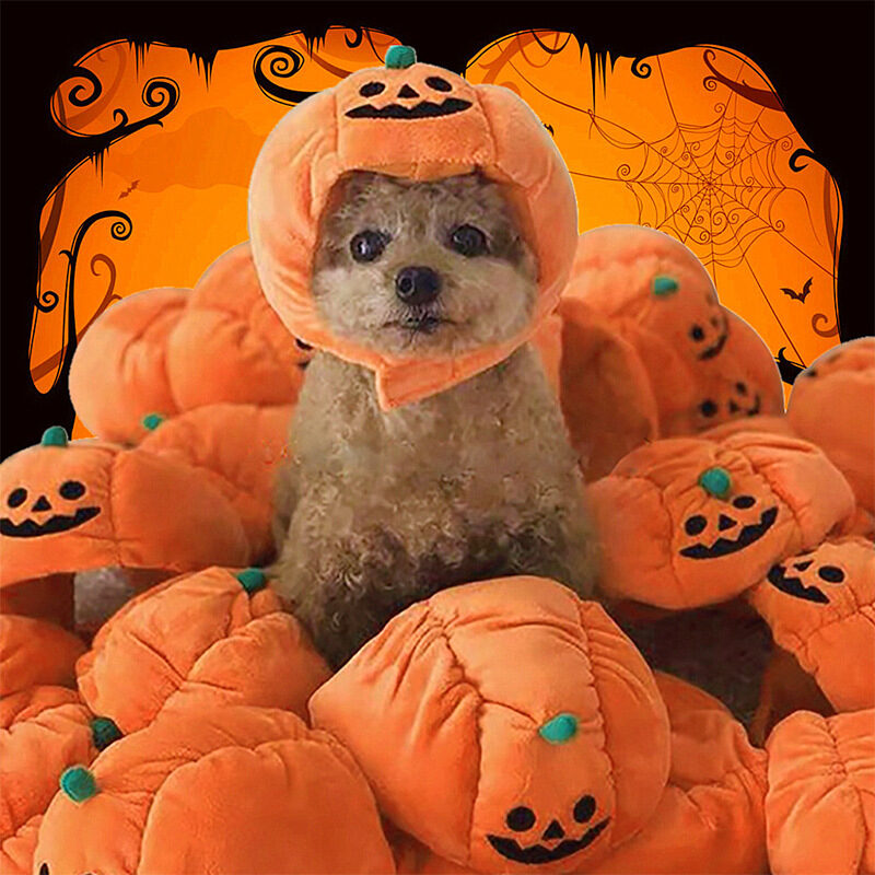 Pet Hat Halloween Funny Pumpkin Cute Animal Costume