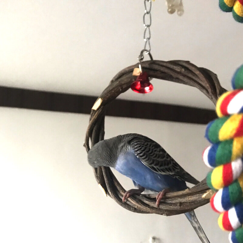 Bird Standing Frame Rattan Ring Chewing Toy Cage