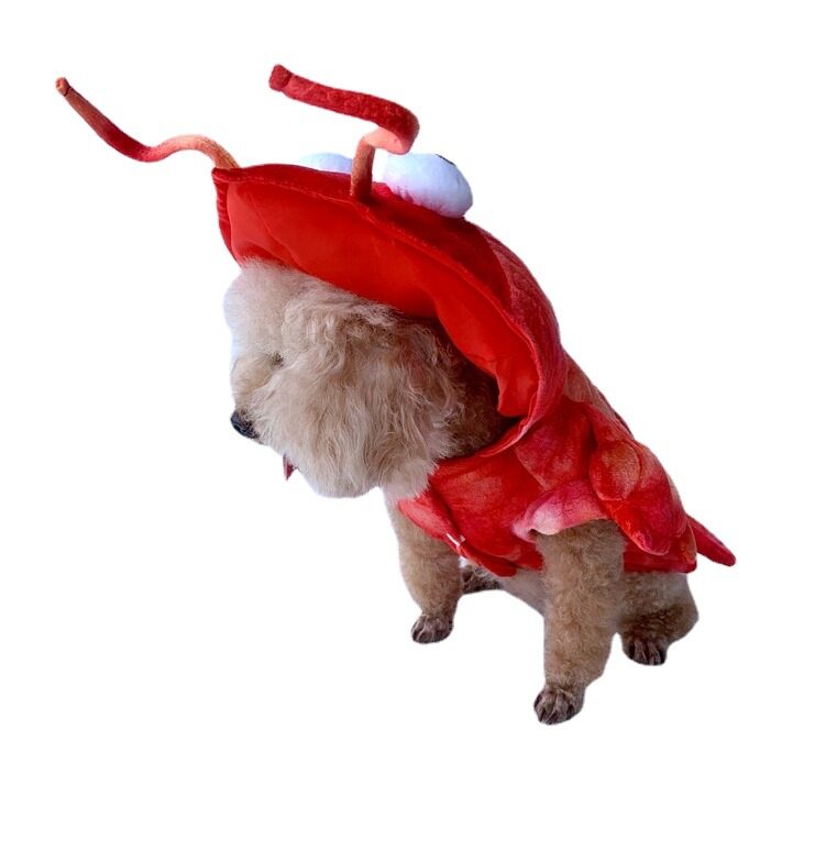 Lobster Pet Clothes Halloween Cat And Dog Makeover