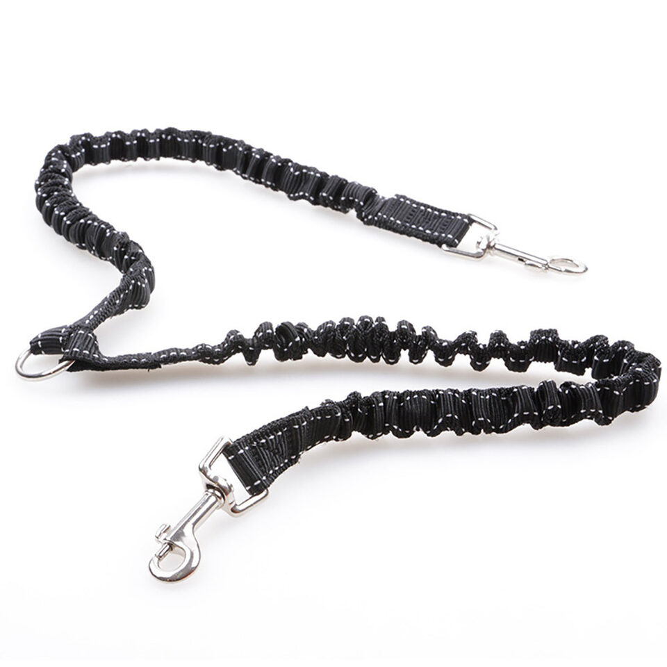 Dogs With One Tow Two Leashes Pets Double