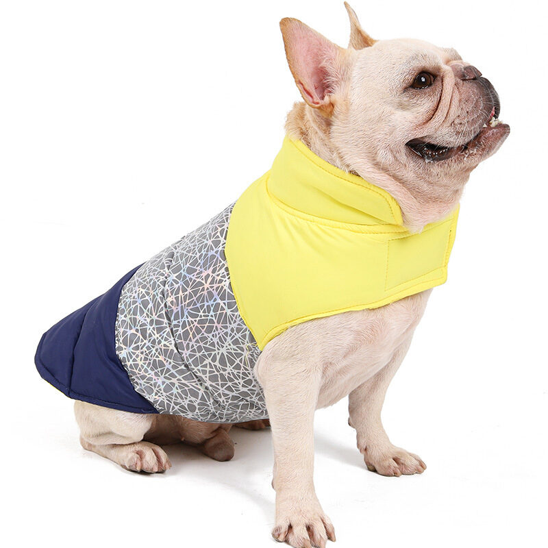 Pet Autumn And Winter Thickened Warmth Water-repellent Down