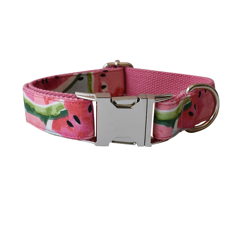 Pet Supplies Dog Collar Leash