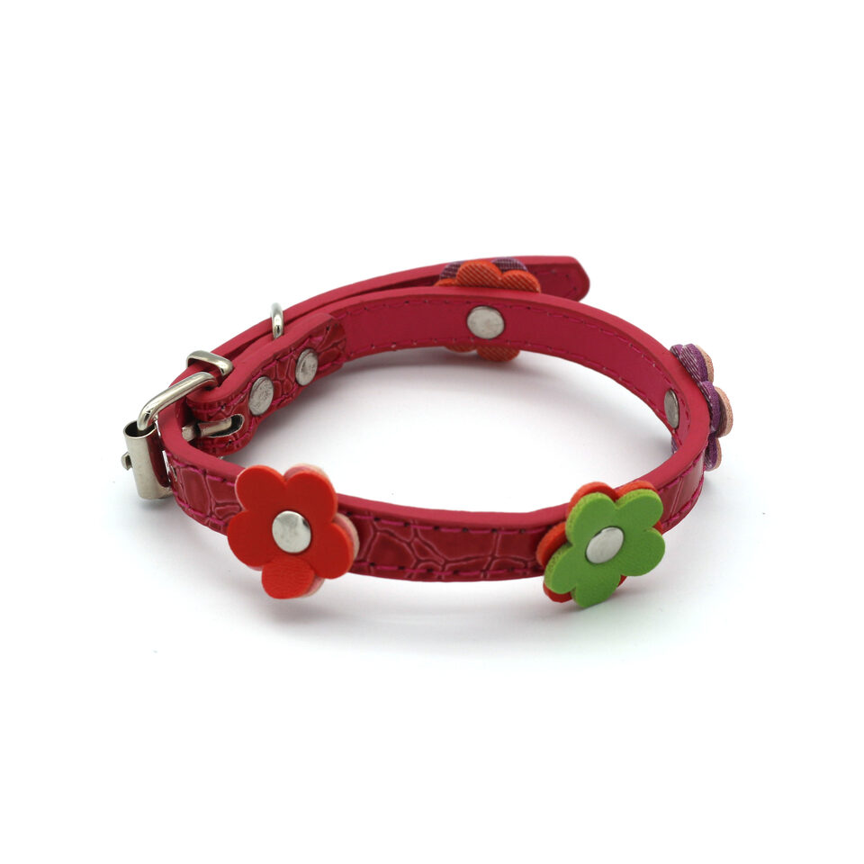 Small Dog And Cat Collars Pets