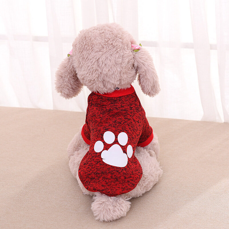 Clothing Pet Two-legged Sweater Teddy