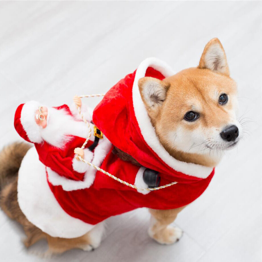 Fashion Christmas Clothes Green Elf Pet Dog Costume