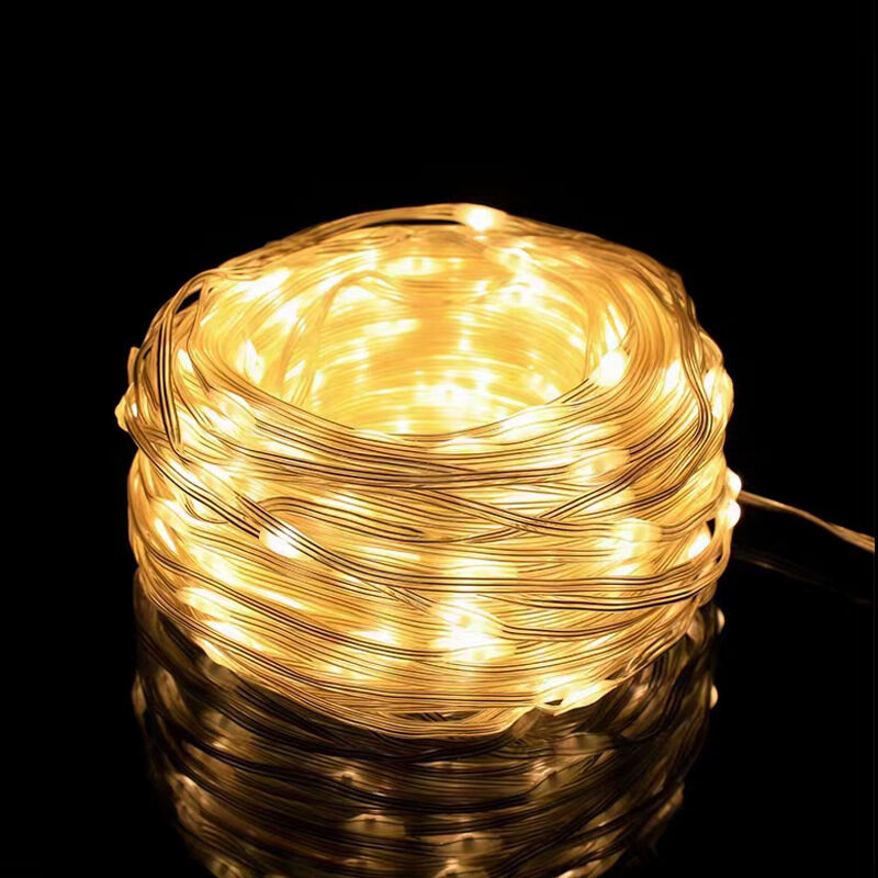 Christmas LED Leather Wire Light String Low Voltage