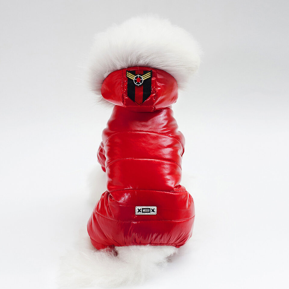 Pet Clothes Teddy Dog