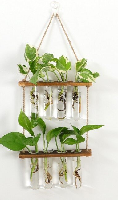 Wall Hanging Terrarium Flower Glass Planter Propagator