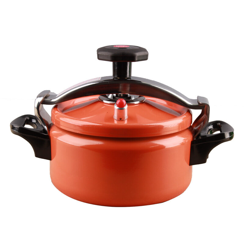Mini Pressure Cooker Small Dishes