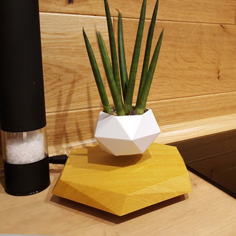 Floating Magnetic Levitating Flower Pot Bonsai Air Plant