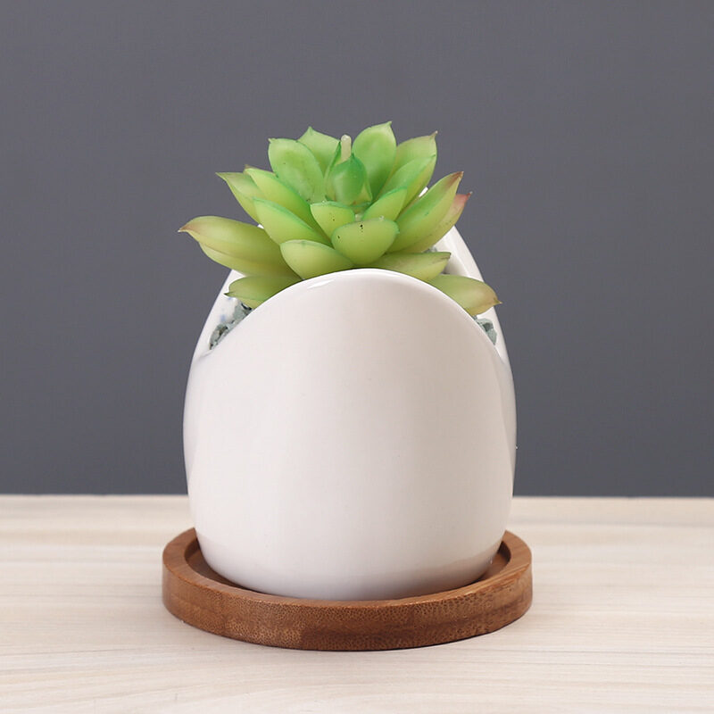 Succulent Pot Creative Cartoon Ceramic Flower Pots European-style