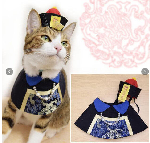 Pet Supplies Cat Decoration Bib Handsome And Funny