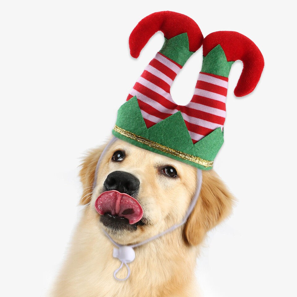 Pet Christmas Funny Striped Clown Hat Dog Ornaments