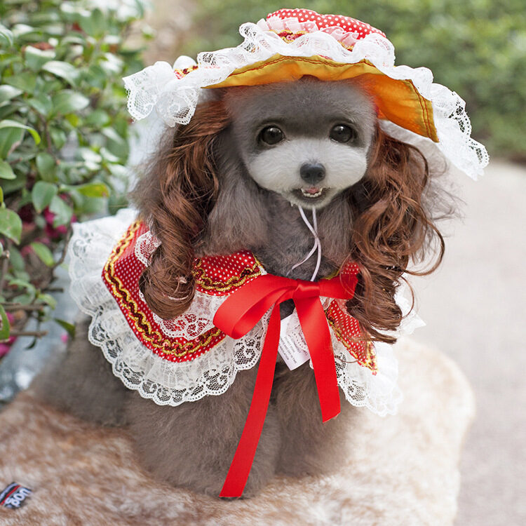 Christmas Pet Clothes Funny Clothing Apparel