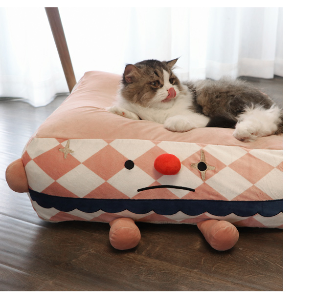 Clown Pet Sleeps In A Cozy Bed