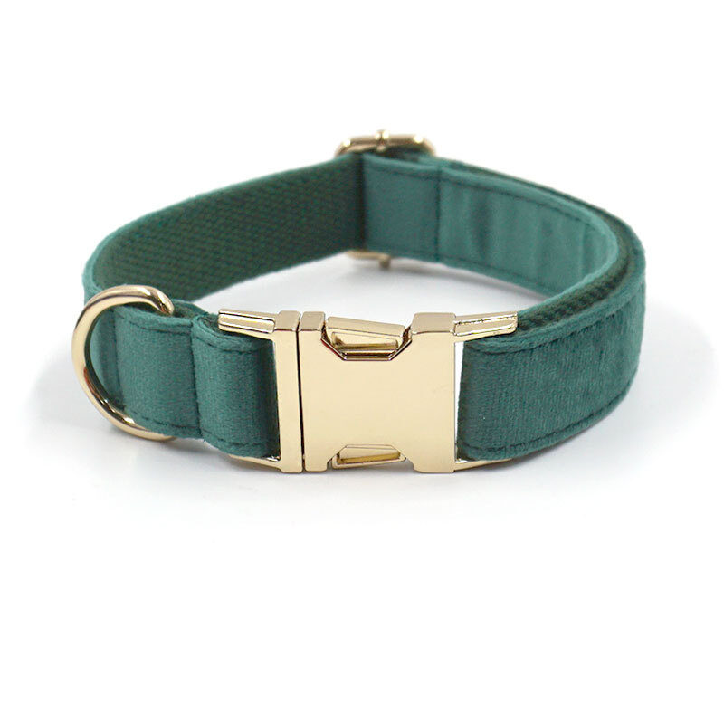 Green Velvet Dog Collar Leash Pet