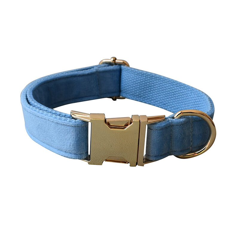 Blue Velvet Dog Collar Rope Pet